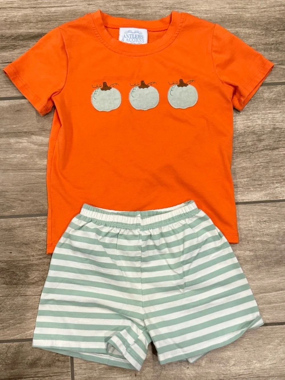 Antlers & Acorns Orange Pumpkin Tee & Mint Stripe Shorts Set Sz 4